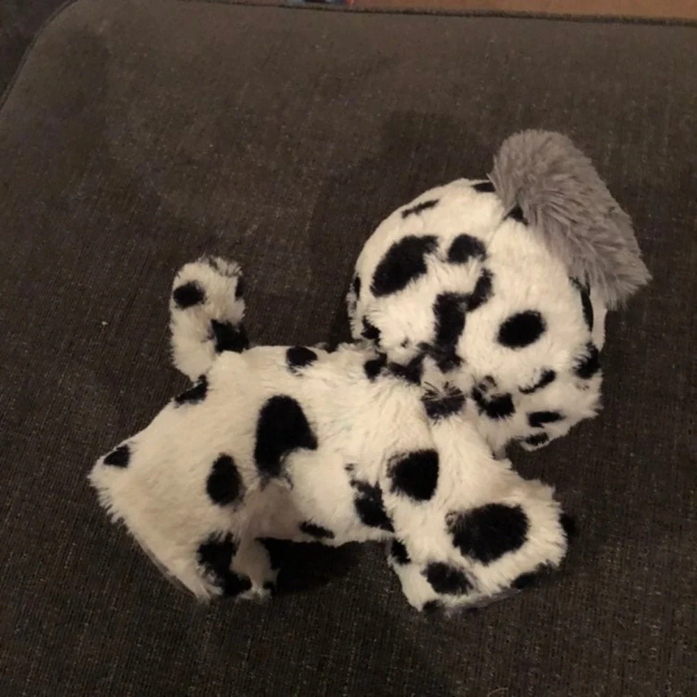 N/A present pets